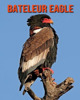 Book cover for Bateleur Eagle