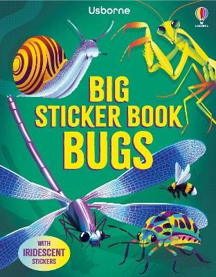 Book cover for Big Sticker Book Bugs