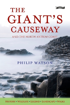 Book cover for The Giant's Causeway