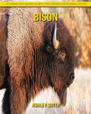 Book cover for Bison