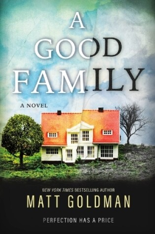 Cover of A Good Family