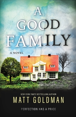 Book cover for A Good Family