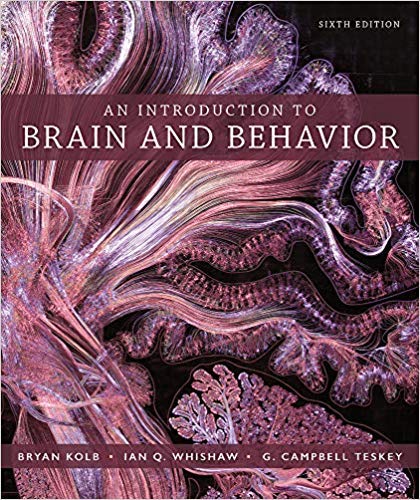 Book cover for An Introduction to Brain and Behavior 6e & Launchpad for an Introduction to Brain and Behavior (Six Months Access)