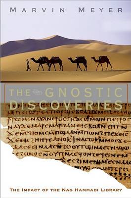 Book cover for The Gnostic Discoveries