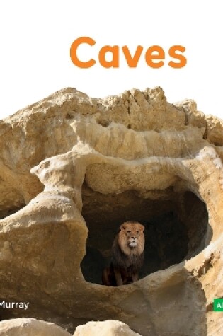 Cover of Animal Homes: Caves