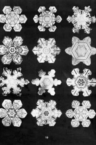 Cover of Bentley'S Snowflakes