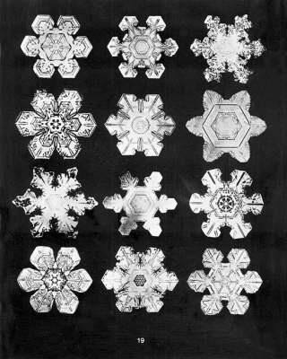 Cover of Bentley'S Snowflakes