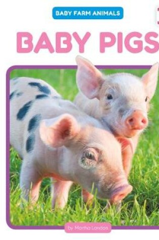 Cover of Baby Pigs