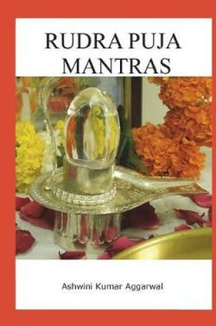 Cover of Rudra Puja Mantras