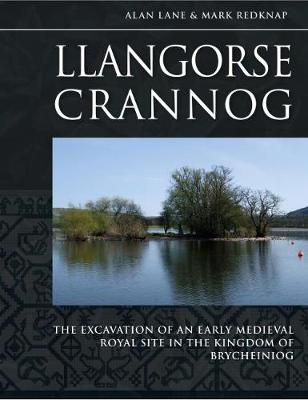 Book cover for Llangorse Crannog