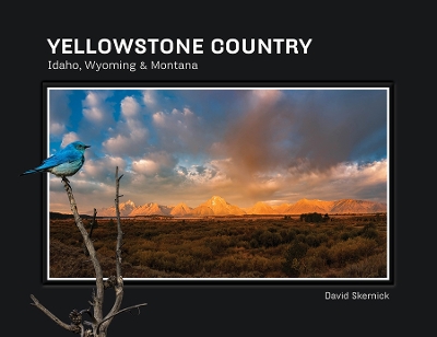 Book cover for Yellowstone Country