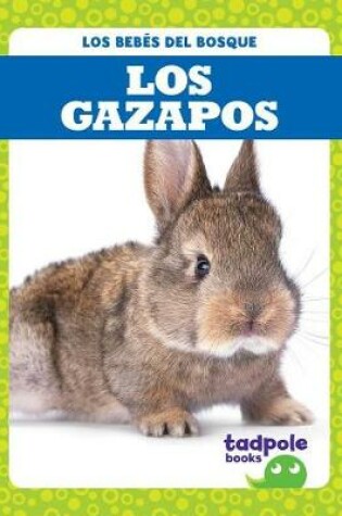 Cover of Los Gazapos (Rabbit Kits)
