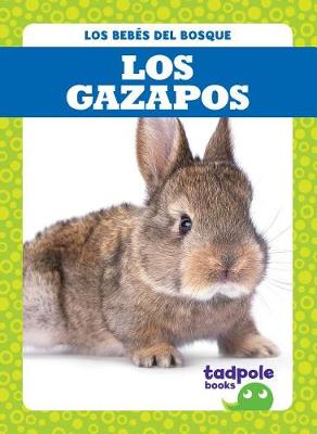 Book cover for Los Gazapos (Rabbit Kits)
