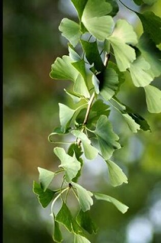 Cover of Green Gingko Leaves Journal