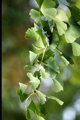 Book cover for Green Gingko Leaves Journal