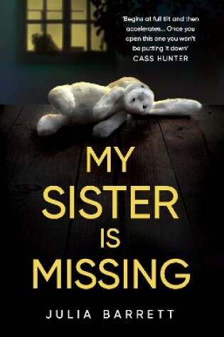 Cover of My Sister is Missing