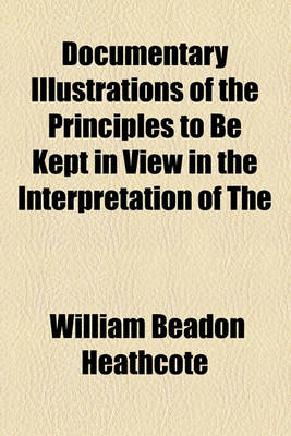 Book cover for Documentary Illustrations of the Principles to Be Kept in View in the Interpretation of the