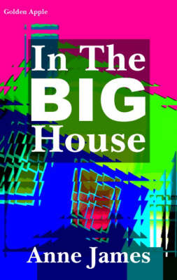 Book cover for In the Big House