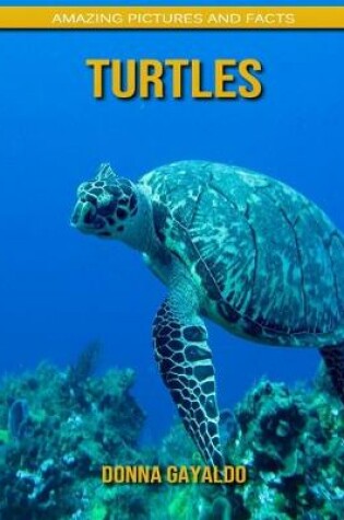 Cover of Turtles