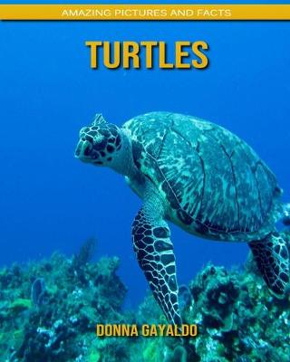 Book cover for Turtles