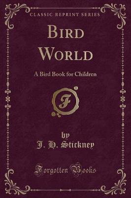 Book cover for Bird World