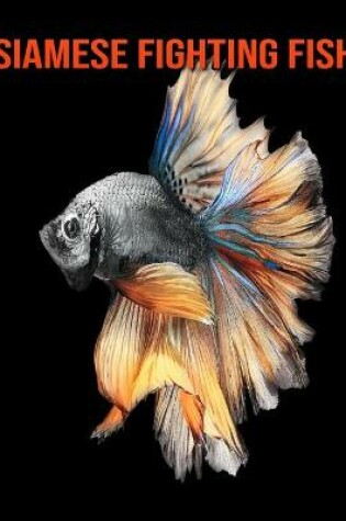 Cover of Siamese Fighting Fish