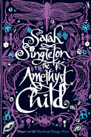 Cover of The Amethyst Child