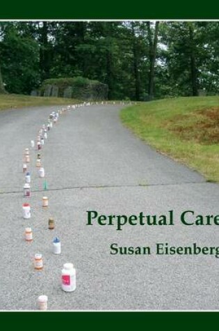 Cover of Perpetual Care