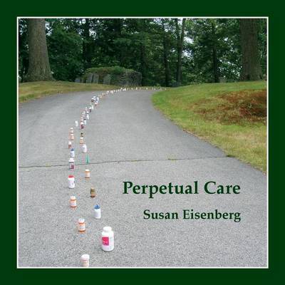 Cover of Perpetual Care