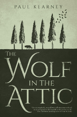 Book cover for The Wolf in the Attic