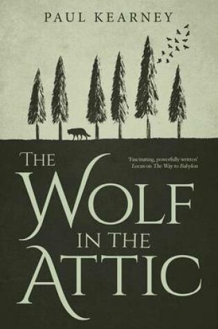 Cover of The Wolf in the Attic