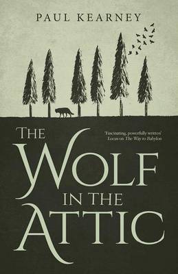 Book cover for The Wolf in the Attic