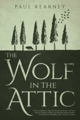 Cover of The Wolf in the Attic