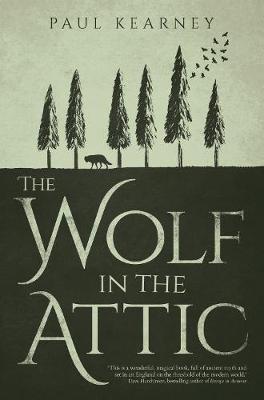 Book cover for The Wolf in the Attic