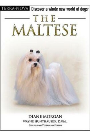 Cover of The Maltese