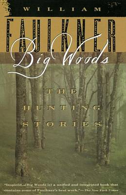 Book cover for Big Woods