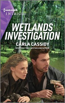 Book cover for Wetlands Investigation