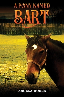 Cover of A Pony Named Bart