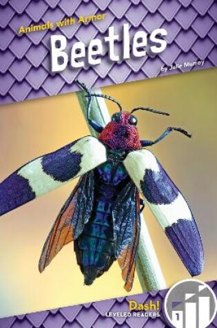 Cover of Beetles