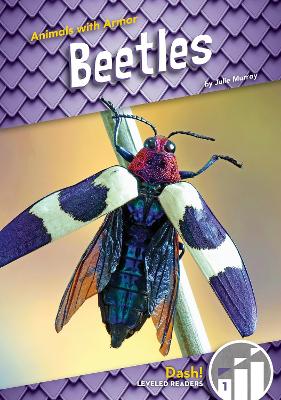 Book cover for Animals with Armor: Beetles