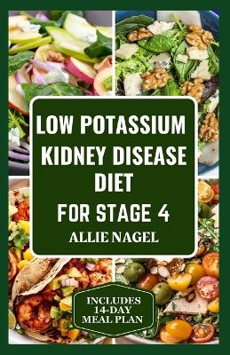 Book cover for Low Potassium Kidney Disease Diet for Stage 4