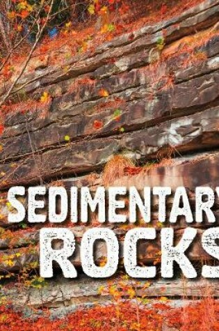 Cover of Sedimentary Rocks