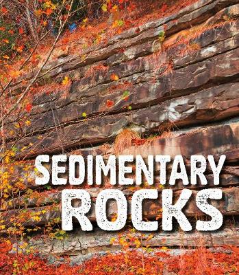 Cover of Sedimentary Rocks