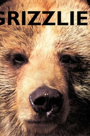 Cover of Grizzlies