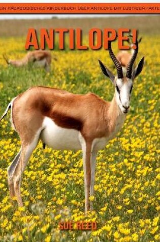 Cover of Antilope! Ein pädagogisches Kinderbuch über Antilope mit lustigen Fakten
