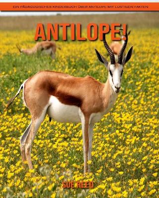 Book cover for Antilope! Ein pädagogisches Kinderbuch über Antilope mit lustigen Fakten