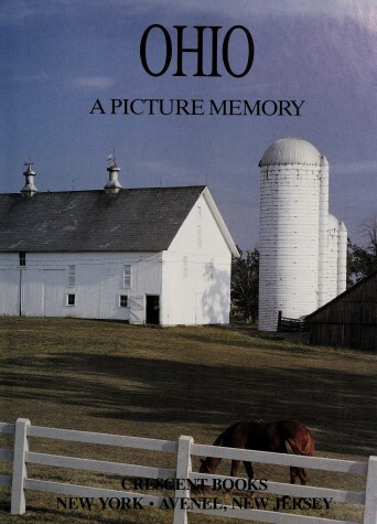 Book cover for A Picture Memory