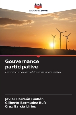 Book cover for Gouvernance participative