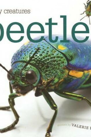 Cover of Beetles