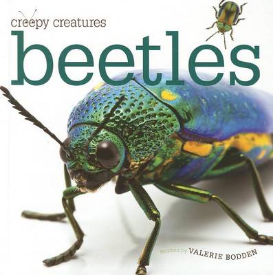 Book cover for Beetles